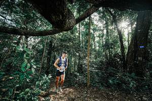 BIB: 
                            <button type="button" onclick="openModal(25390233)" class="btn btn-primary btn-sm float-right btn-popup" data-toggle="modal" data-target=".modal-high-quality">
                        <i class="fas fa-shopping-cart"></i> Add to Cart
                    </button>
                                            <button type="button" onclick="isThisMe(25390233, true)" class="btn btn-success btn-sm float-right btn-popup btn-isme hidden" data-toggle="tooltip" data-placement="bottom" title="นี่คือรูปของคุณใช่ไหม คลิกที่นี่เพื่อเอาเข้าอัลบั้ม">
                        <i class="fas fa-plus"></i> Add to album
                    </button>
                    <button type="button" onclick="isThisMe(25390233, false)" class="btn btn-warning btn-sm float-right btn-popup btn-isnotme hidden">
                        <i class="fas fa-ban"></i> Remove from album
                    </button>